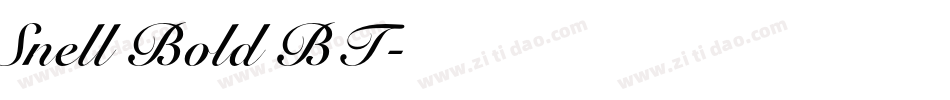 Snell Bold BT字体转换